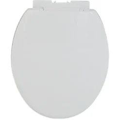 Abattant WC avec frein de chute