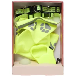 Accessoire sellerie pour chien 5 pièces fluorescent jeu et promenade