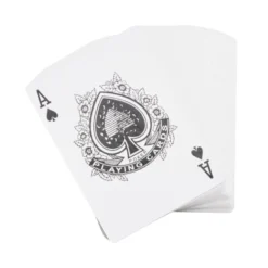 Accessoires pour poker 100 jetons et 1 jeu de cartes