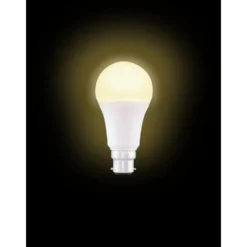 Ampoule LED B22 blanc chaud 14W=100W 1521lms classe F