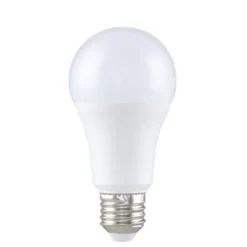 Ampoule LED E27 blanc chaud 14W=100W 1521lms classe F