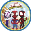 Assiette carton x8 Spidey Ø23cm