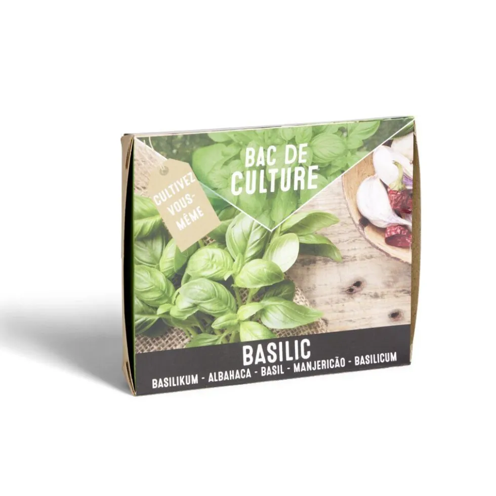 Bac de culture basilic avec graines et terreau