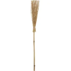Balai de sorcière