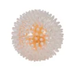 Balle pour chien lumineuse LED (3 modèles)