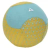 Ballon de volley