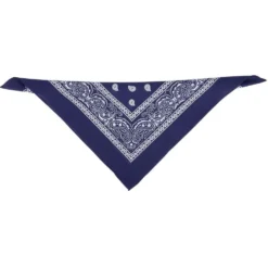Bandana motif paisley coloré 100% coton 53x53cm