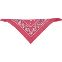 Bandana motif paisley coloré 100% coton 53x53cm