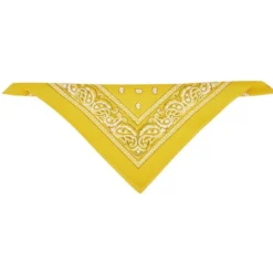 Bandana motif paisley coloré 100% coton 53x53cm