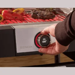 Barbecue grill sur pied int/extSeverin Senoa noir