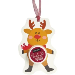 Baume à lèvre de Noël 10g (5 modèles)