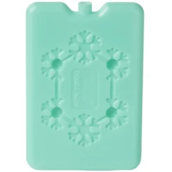 Bloc de glace réfrigérant 170 ml (4 modèles)