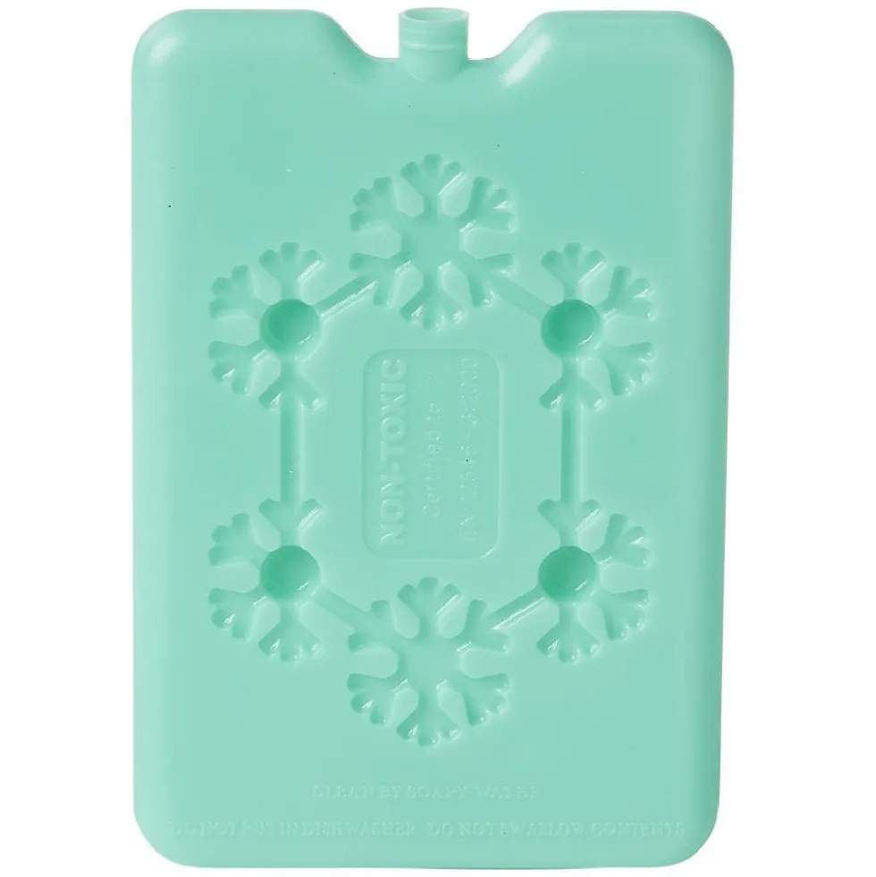 Bloc de glace réfrigérant 170 ml (4 modèles)