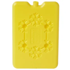 Bloc de glace réfrigérant 170 ml (4 modèles)