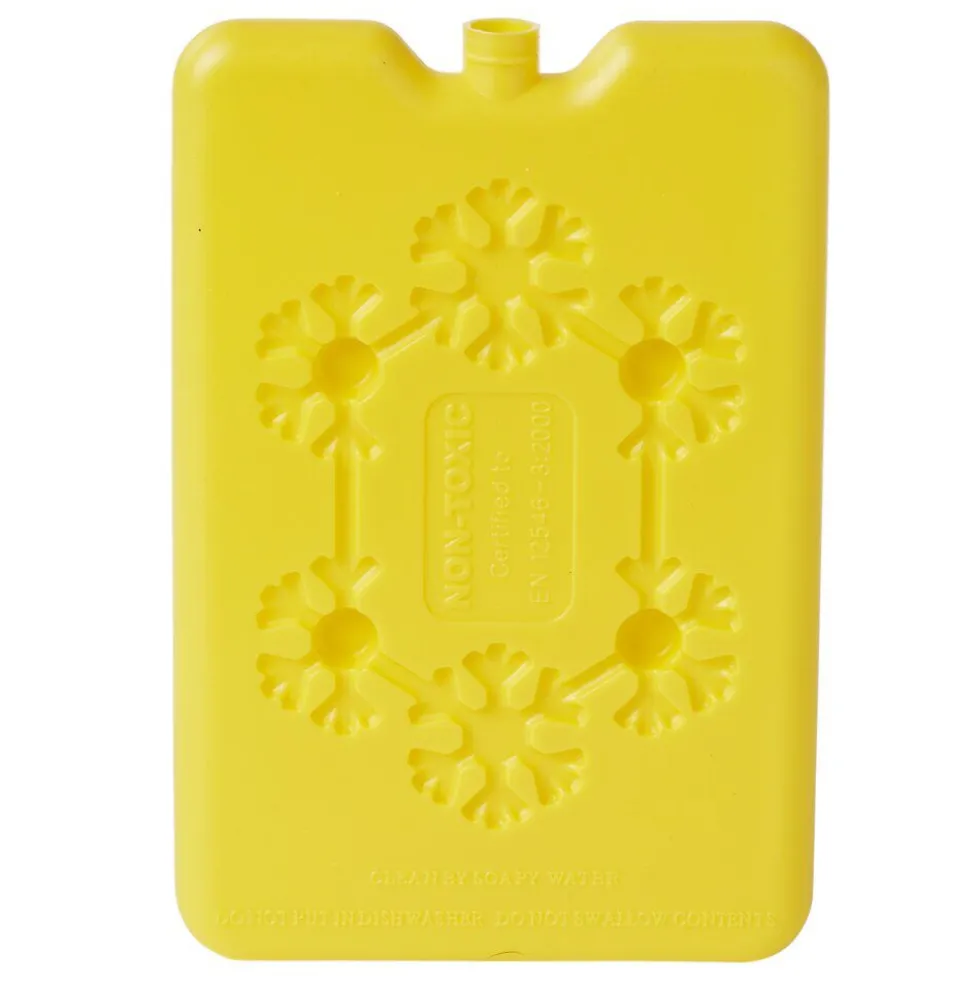 Bloc de glace réfrigérant 170 ml (4 modèles)