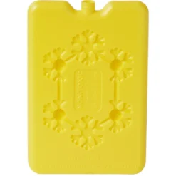 Bloc de glace réfrigérant 170 ml (4 modèles)