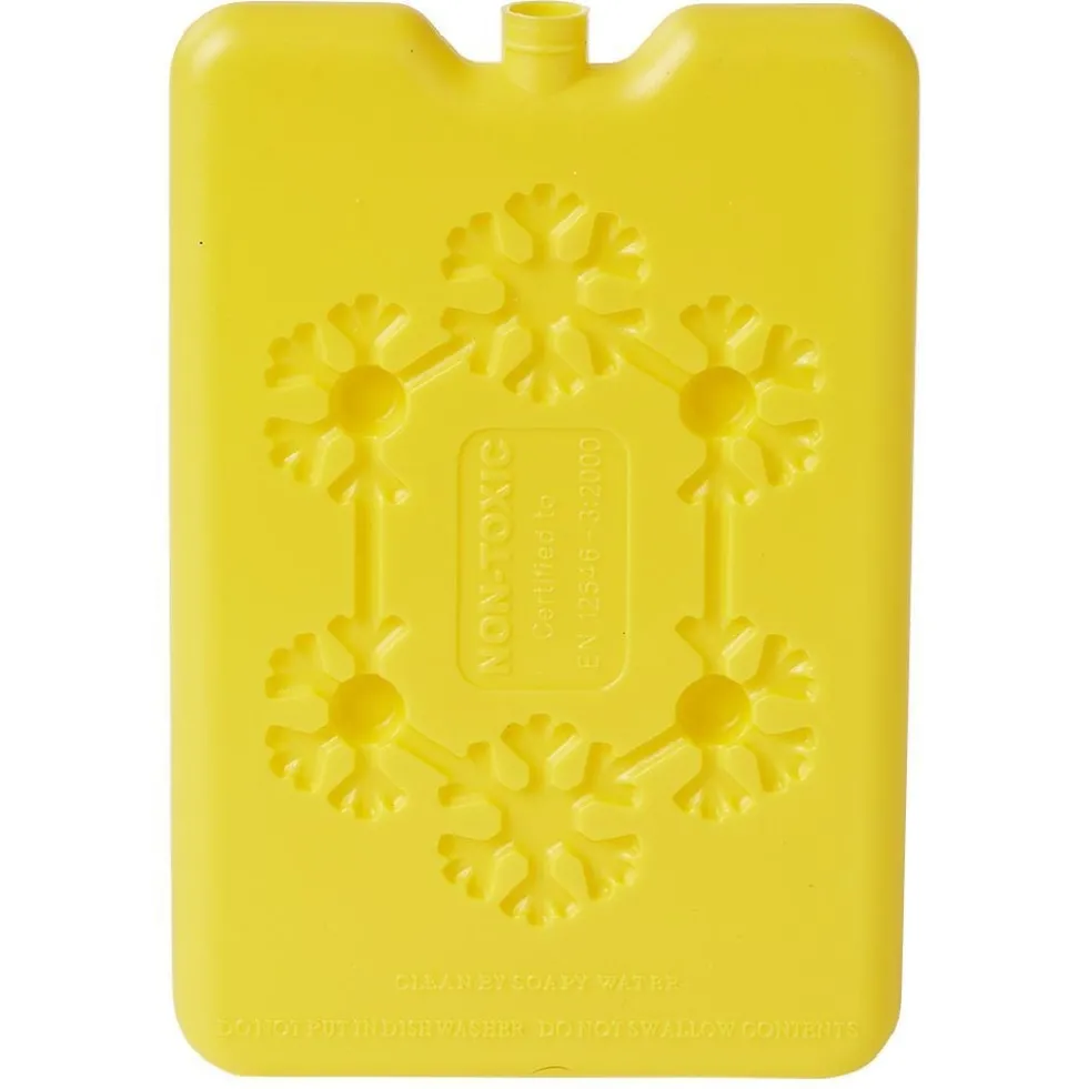 Bloc de glace réfrigérant 170 ml (4 modèles)