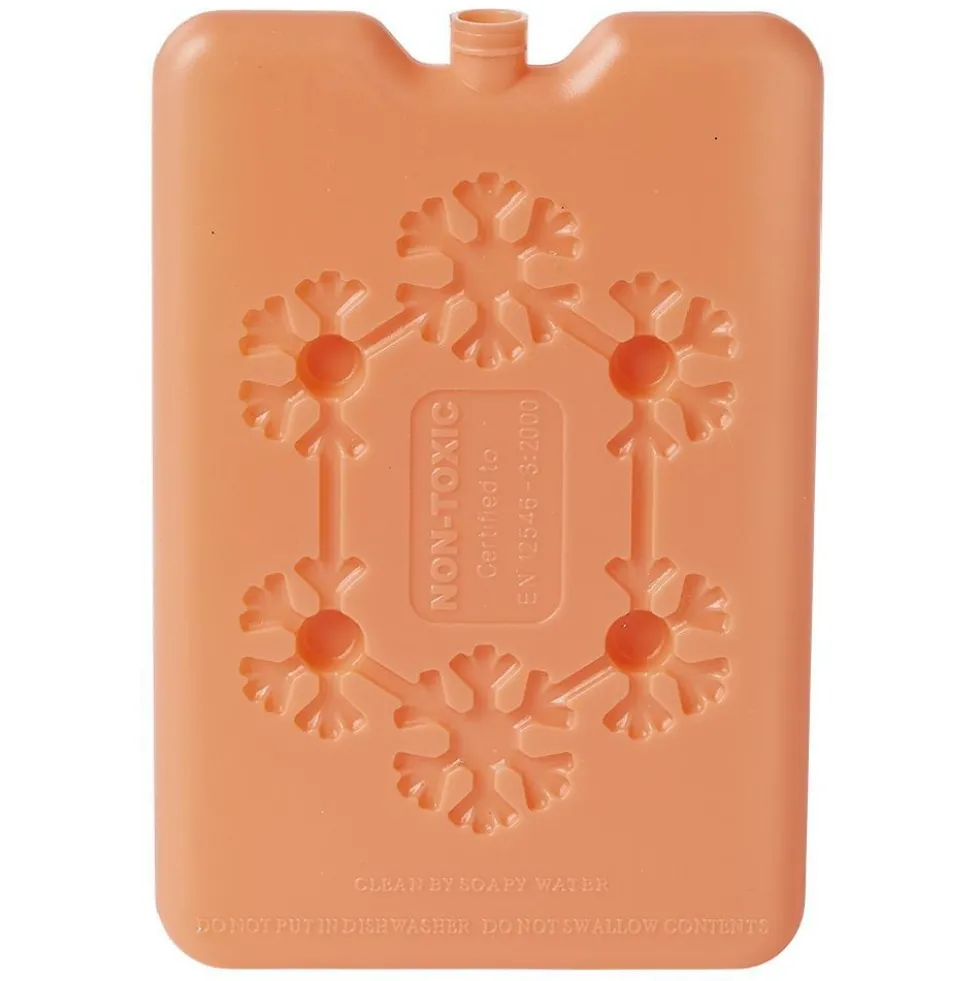 Bloc de glace réfrigérant 170 ml (4 modèles)