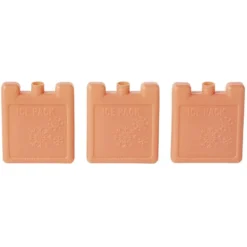 Bloc de glace x3 plastique 50ml (plusieurs modèles)