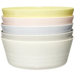 Bol à pique-nique plastique réutilisable Ø11,5xH5cm (5 pièces)