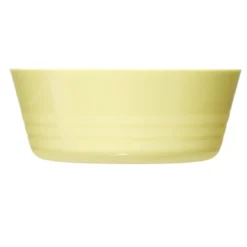 Bol à pique-nique plastique réutilisable Ø11,5xH5cm (5 pièces)