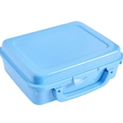 Boîte à sandwich rectangulaire plastique coloré 20x16xH7cm (3 modèles)