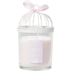 Bougie cage à oiseau rose senteur passion 36H