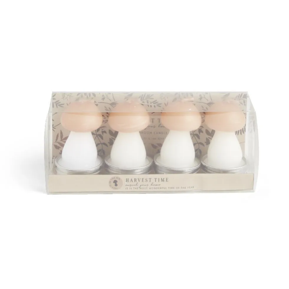 Bougie champignon blanc et orange 6H x4