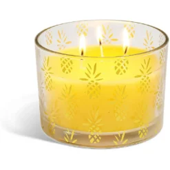 Bougie citronnelle verre