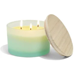 Bougie citronnelle verre et bois