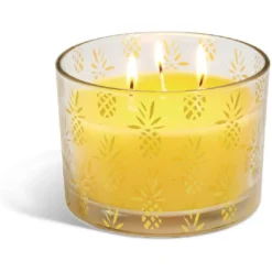 Bougie citronnelle verre 3 mèches Ø13xH8cm (4 modèles)
