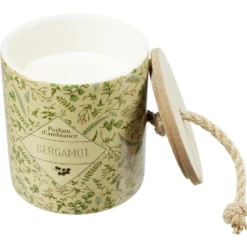 Bougie dans pot céramique design végétal