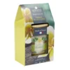 Bougie parfumée Ambiances Devineau 2 mèches Polynésie senteur monoï 30H