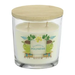 Bougie parfumée Ambiances Devineau 2 mèches Polynésie senteur monoï 30H