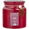 Bougie parfumée dans bonbonnière senteur fruits rouges 30H