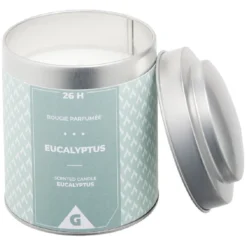 Bougie parfumée dans pot métal gris et vert senteur eucalyptus 26H