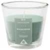 Bougie parfumée dans verre senteur eucalyptus Ø9xH8,3cm 25H