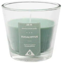 Bougie parfumée dans verre senteur eucalyptus Ø9xH8,3cm 25H