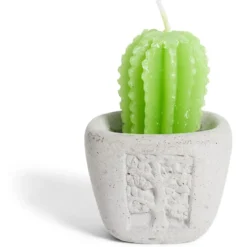Bougie plante dans pot ciment Ø5xH7cm