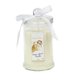 Bougie senteur Crème glacée vanille