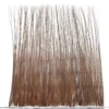 Brise-vue branche osier L200xH200cm