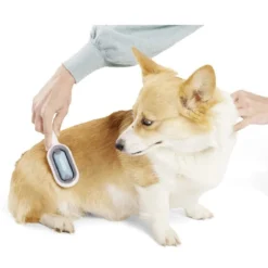Brosse animal attrape poils avec réservoir d'eau