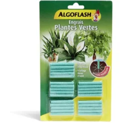 Bâtonnet engrais x25 plante verte
