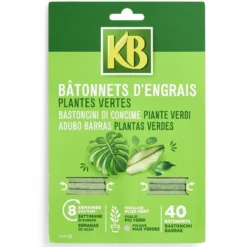 Bâtonnets d'engrais pour plantes vertes x40