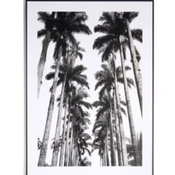 Cadre déco en bois motif palmiers noir et blanc 50x70cm