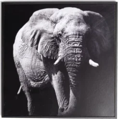 Cadre déco en bois photo éléphant 30x30cm
