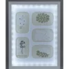 Cadre LED déco 5 vues nature végétaux 33xH43cm (2 modèles)