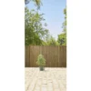Canisse bambou fendu naturel L.500xH.100cm