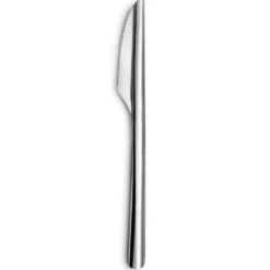 Couteau inox x12