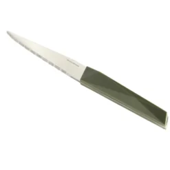 Couteau à steack inox manche plastique (3 modèles)
